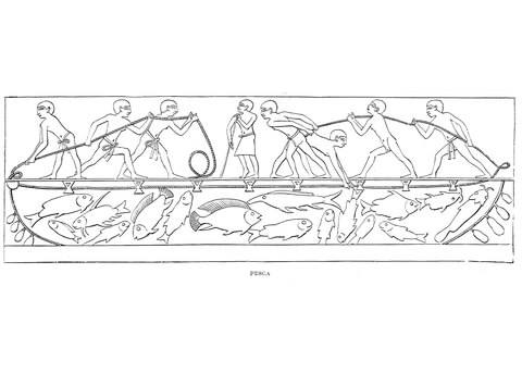 Ancient Egyptian Depiction Of Fishing Coloring Page